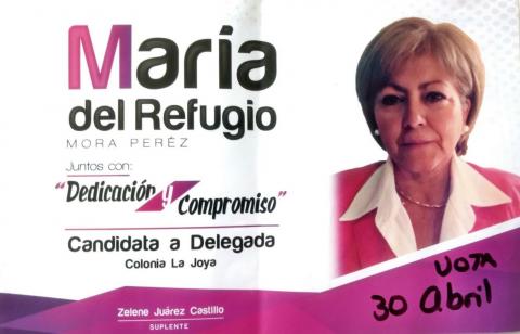 Seguridad, Transparencia y responsabilidad para La Joya: MRMP