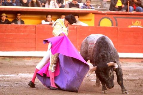Deberá ser expulsado por andar en corridas de toros imagen 2