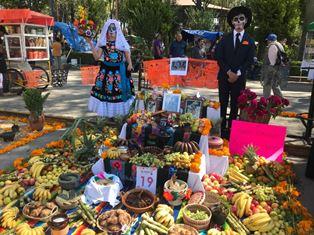 Tetla y Santa Cruz Tlaxcala ganan concurso de ofrendas imagen 2