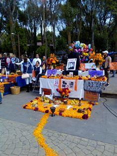 Tetla y Santa Cruz Tlaxcala ganan concurso de ofrendas imagen 3