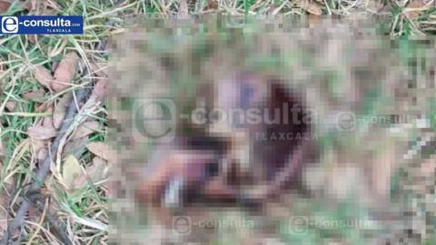 Hallan cráneo humano en terrenos de labor en el limite de SPM y Tenancingo