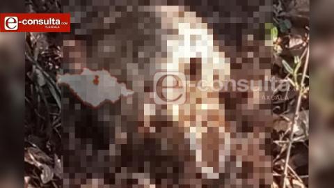 Pueblo sin Ley; localizan restos humanos en Mazatecochco