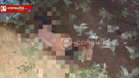 Hallan a dos hombres sin vida en Nativitas con huellas de violencia
