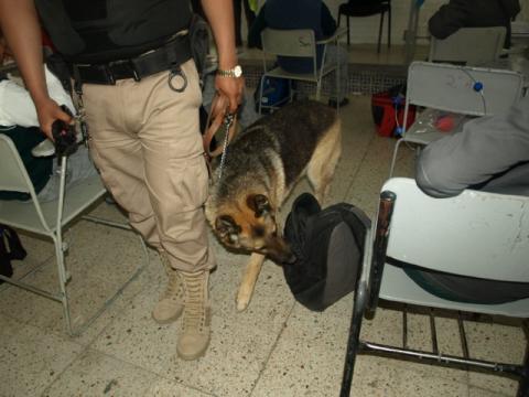 Fortalece PGR la prevención del delito mediante el "Operativo Mochila" imagen 1