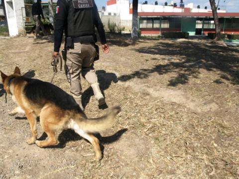 Fortalece PGR la prevención del delito mediante el "Operativo Mochila" imagen 2