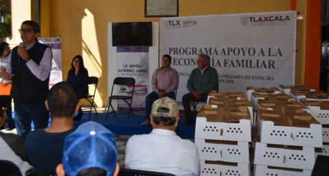En Calpulalpan 200 familias se benefician con paquetes de aves de traspatio imagen 1