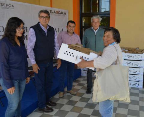 En Calpulalpan 200 familias se benefician con paquetes de aves de traspatio imagen 4