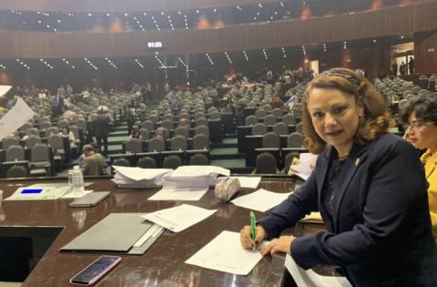 Respalda Diputada Federal, Claudia Pérez iniciativa para crear Ley de Amnistía