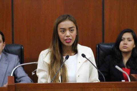 Diputados juveniles presentan iniciativas para fortalecer al sector juvenil en Tlaxcala imagen 1