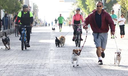 Involucra a jóvenes el Domingo Saludable en Apizaco