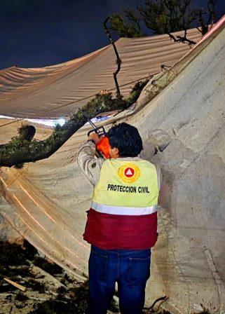 Protección Civil de Chiautempan atiende reporte de árbol caído por fuerte lluvia