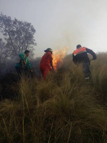 PC Calpulalpan logro controlar 3 incendios en los últimos tres días imagen 3