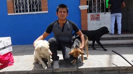 Ayuntamiento de SPM implementó jornada de esterilización canina y felina imagen 2