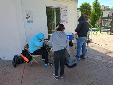 Más de mil 500 perros y gastos recibieron vacuna contra la rabia