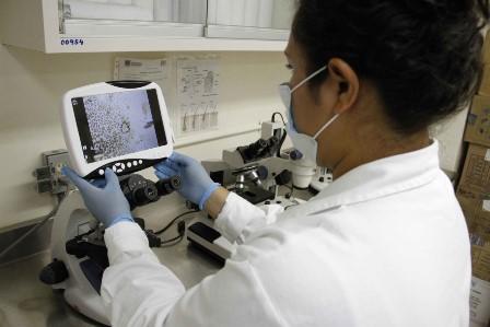 Dice la PGJE que ya investiga hallazgo de cuerpo en Cuapiaxtla