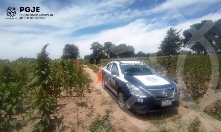 Cierra la semana con un nuevo feminicidio en Cuapiaxtla