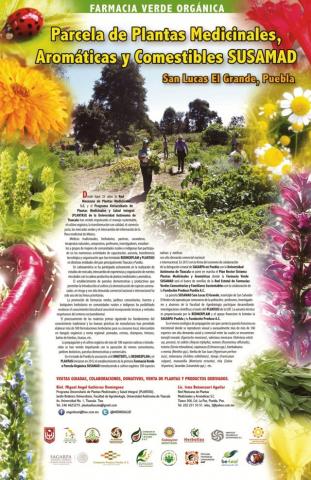 Jornadas de promoción de la Chia en la región Tlaxcala- Puebla imagen 4