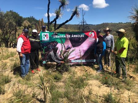 PRI Tlaxcala se suma a la primera jornada de gestión ambiental imagen 1