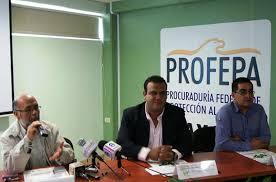 Renuncia Jesús Romero a la Delegación de Profepa