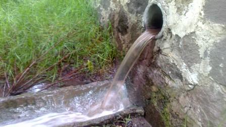 Profepa busca sancionar a empresa consentida de MGZ imagen 1