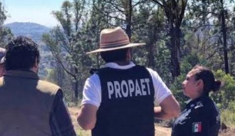 Se arma la bronca por la muerte de un gato en Tlaltelulco