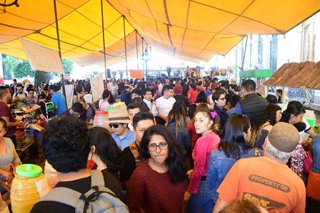 Inicia con éxito Festival del Pulque Tlaxco 2020 imagen 3