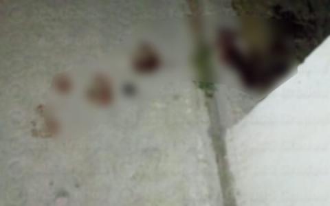 Otro asesinato en el segundo estado más seguro del país