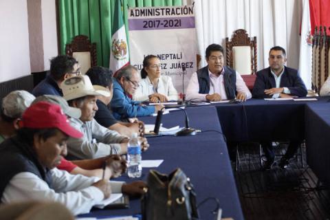 Calpulalpan se alista para la próxima temporada de avistamiento de luciérnagas imagen 4