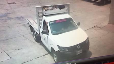 Ahora roban falsos judiciales camioneta de Pollos Lobo