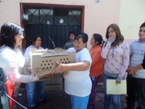 Sindico de Chiautempan entrega más de 120 paquetes de aves de traspatio imagen 1