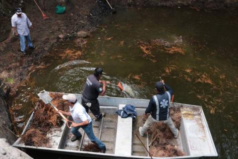 Se lleva a cabo saneamiento del Jagüey Cuetlachac y Ameyal de San Pedro Tlalcuapan imagen 1