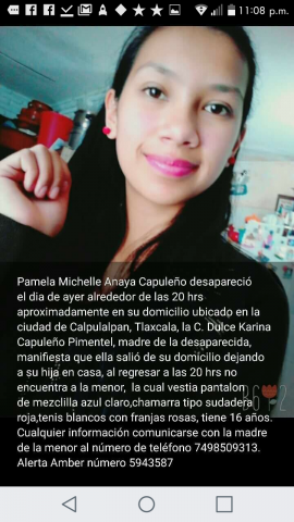 Desaparece una menor de 16 años en Calpulalpan imagen 2