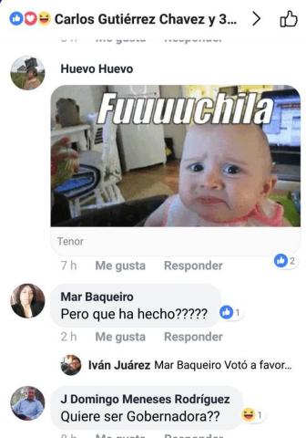 Tunden a senadora en redes sociales por informe imagen 3