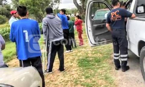 Enjambre de abejas atacan campos de fútbol en Totolac imagen 1