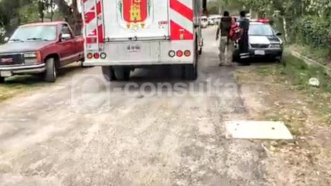 Enjambre de abejas atacan campos de fútbol en Totolac imagen 2