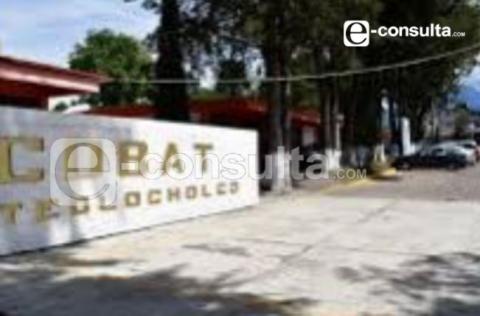 Echa loco alumno del Cobat en Teolocholco y amaga a sus compañeros con arma