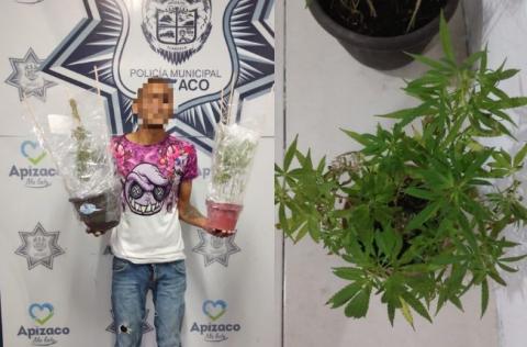 Por delitos contra la salud detiene Policía Municipal de Apizaco a un sujeto.