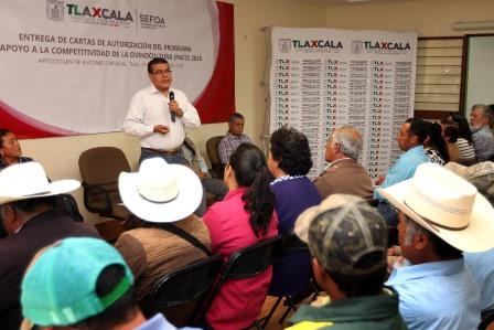Sefoa mejora esquemas de producción en ovinocultura