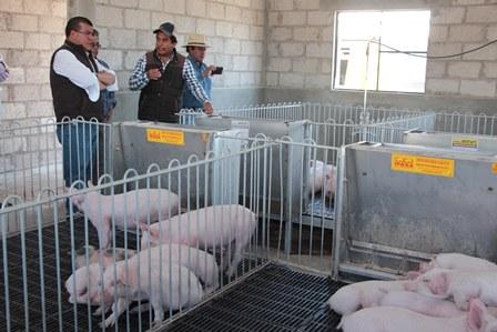 Verifica Sefoa apoyos que reciben ganaderos de Huamantla y Atltzayanca