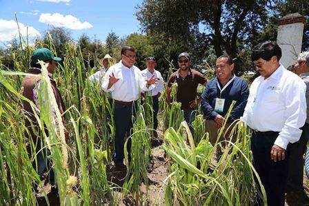 Supervisa Ramírez Conde entrega de apoyos del seguro agrícola
