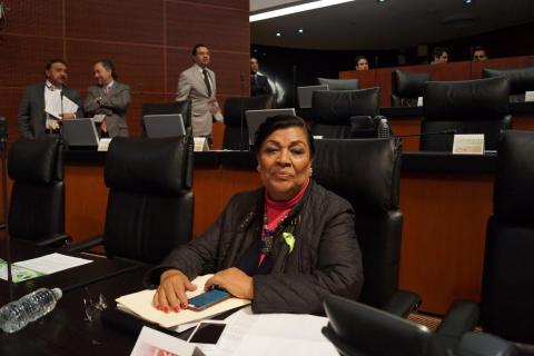 Lleva Martha Palafox al senado petición sobre caso “Gasoducto” en Tlaxcala