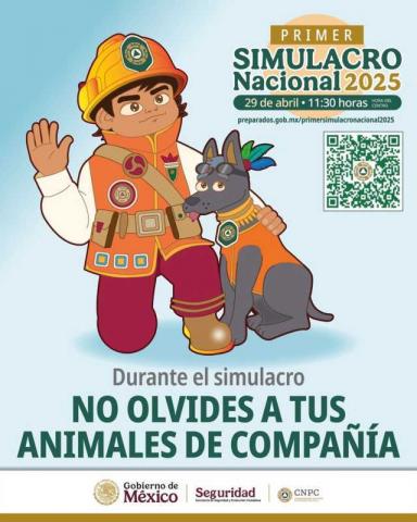 Gobierno municipal invita a participar activamente en el Primer Simulacro Nacional 2025 este Martes 29 de Abril imagen 6