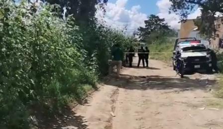 D3vor4 fauna cuerpo sin vida de una person4 en San Pablo del Monte