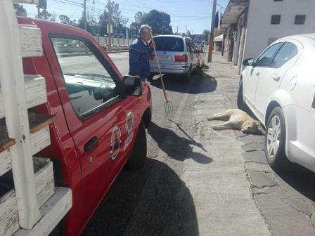 Realizan limpieza de áreas de la escuela Miguel Aleman imagen 1
