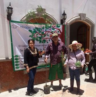 Entregan más de 700 árboles a familias de Texoloc imagen 2