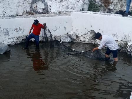 Alcalde de Tequexquitla fomenta ciencia entre los jóvenes imagen 2