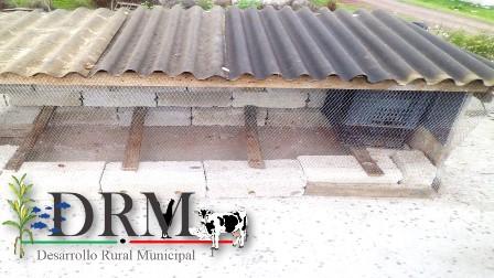 Apoya ayuntamiento de Tequexquitla a la economía familiar imagen 2