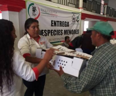 Entregan a habitantes de Tequexquitla especies menores imagen 1
