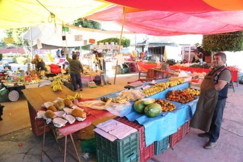 Tianguis en Metepec imagen 4
