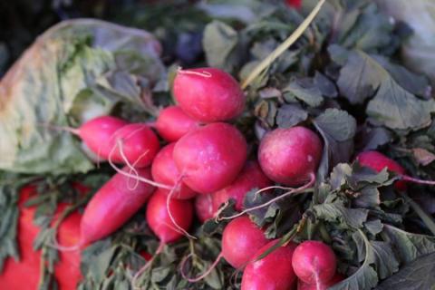 Tianguis en Metepec imagen 6